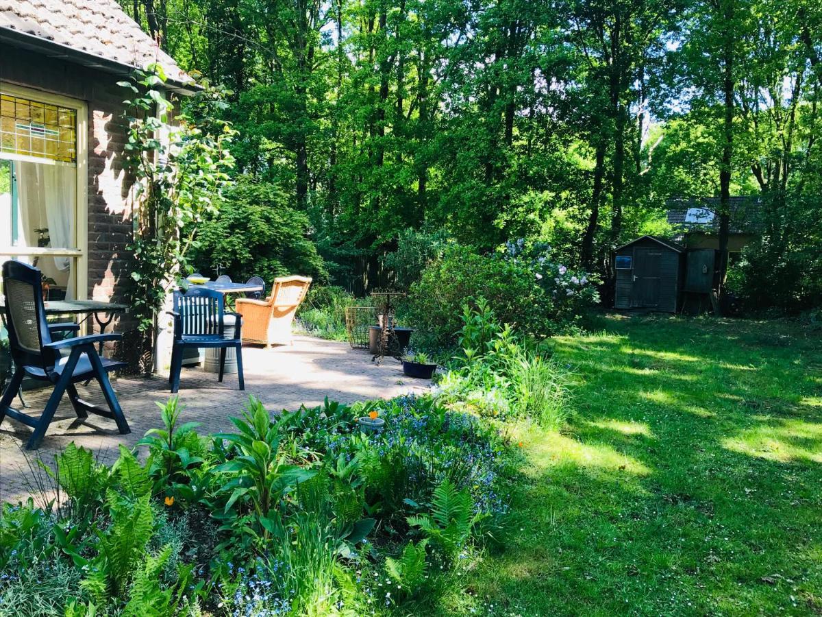 Vila Blauwe Lelie Ewijk Exteriér fotografie
