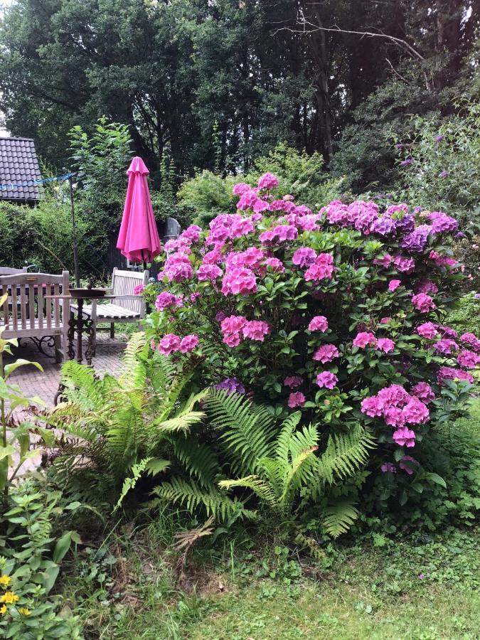 Vila Blauwe Lelie Ewijk Exteriér fotografie