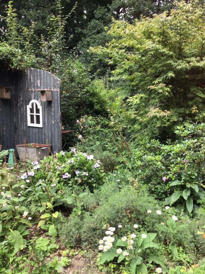 Vila Blauwe Lelie Ewijk Exteriér fotografie