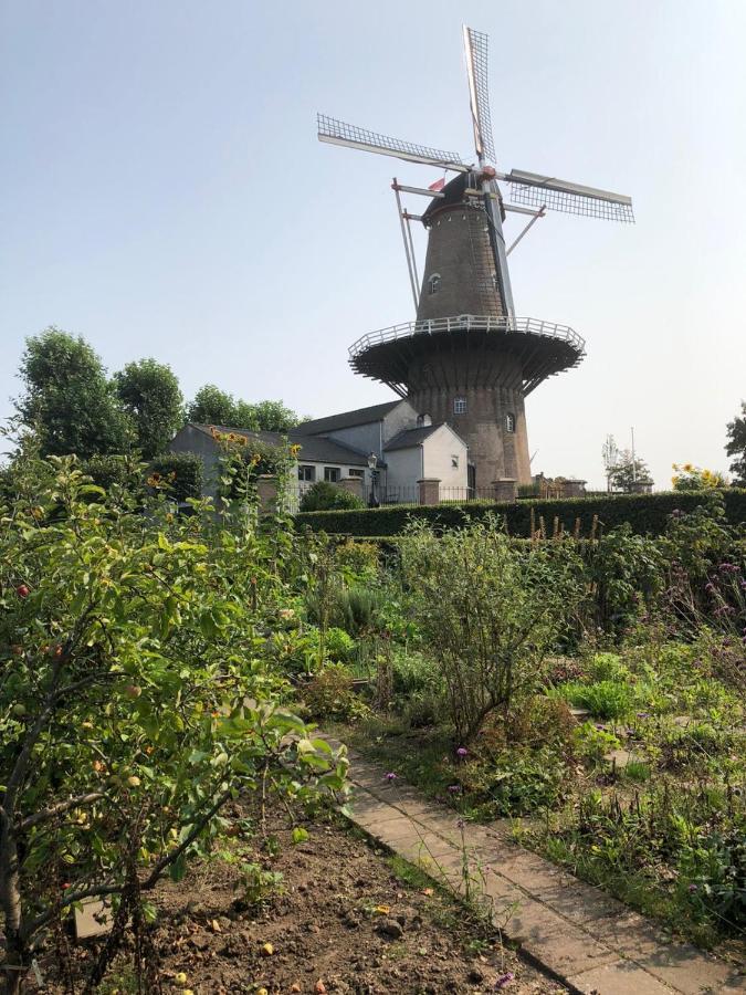 Vila Blauwe Lelie Ewijk Exteriér fotografie