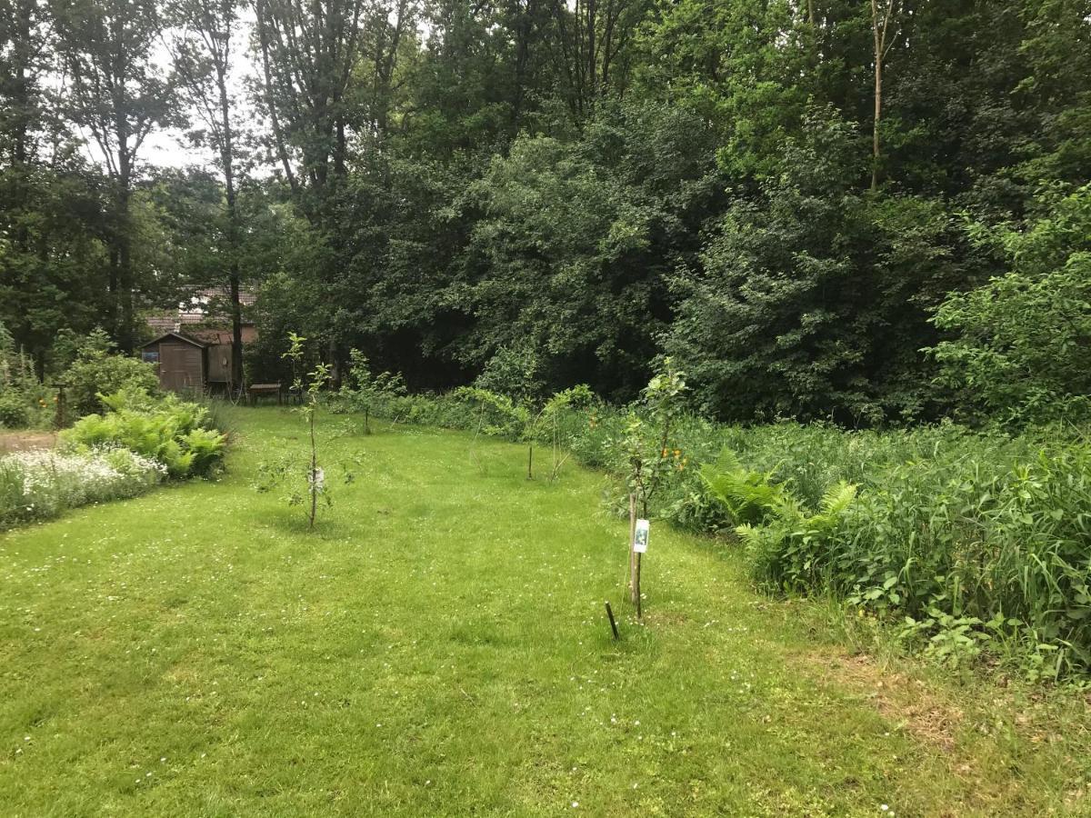 Vila Blauwe Lelie Ewijk Exteriér fotografie