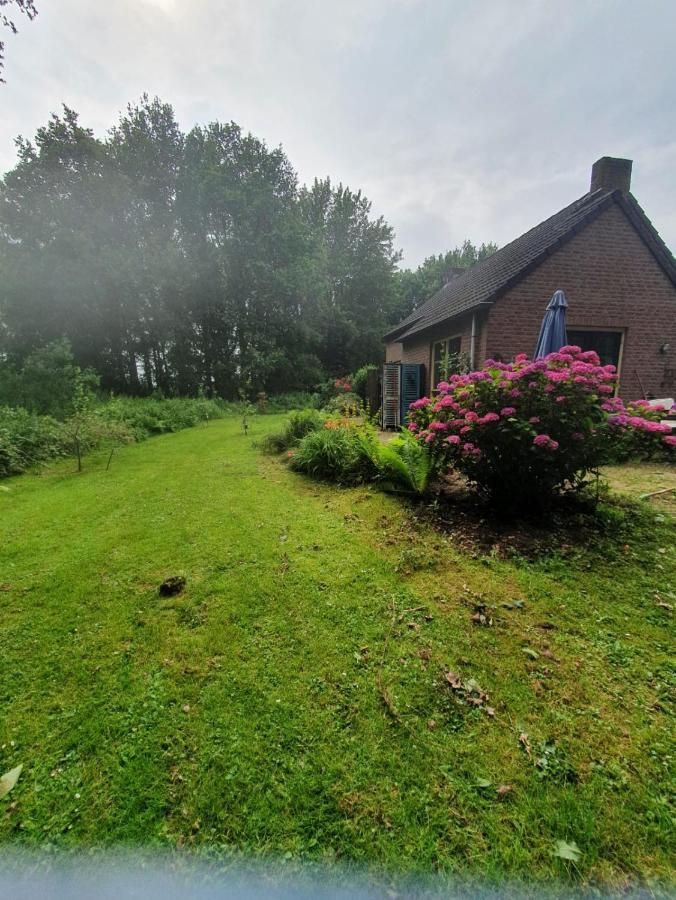 Vila Blauwe Lelie Ewijk Exteriér fotografie